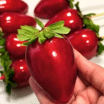 Captura de Tela 2025-07-29 às 16.41.06